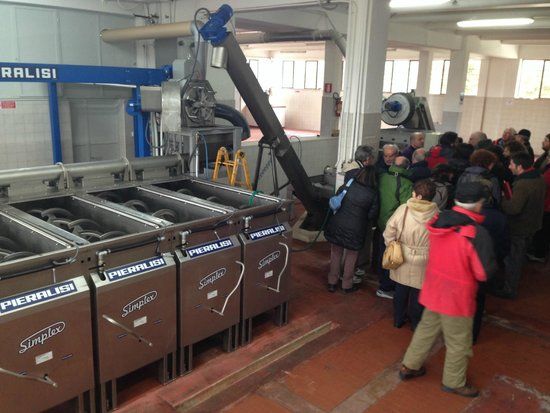 Frantoio Di Spello Uccd